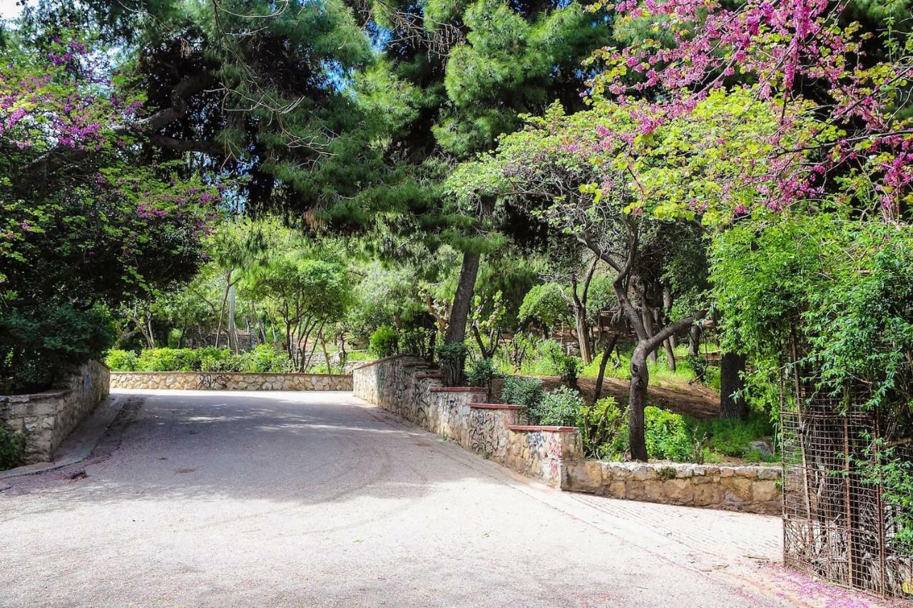 Charming Apartment Near Panathenaic Stadium Ngoại thất bức ảnh